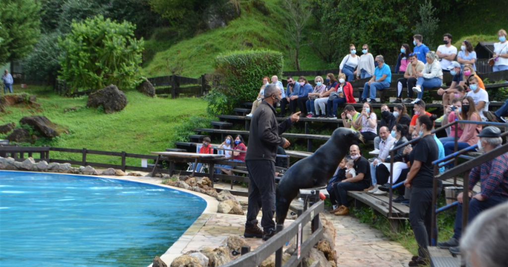 Un antrenor de animale se află lângă o piscină în aer liber, interacționând cu un leu de mare care stă pe balustradă. În fundal, pe băncile din lemn dispuse în trepte, un public format din adulți și copii urmărește cu interes spectacolul, unii purtând măști de protecție. Întregul cadru este amplasat într-un peisaj verde, natural.
